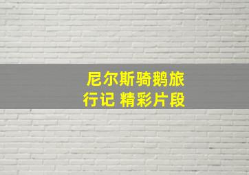 尼尔斯骑鹅旅行记 精彩片段